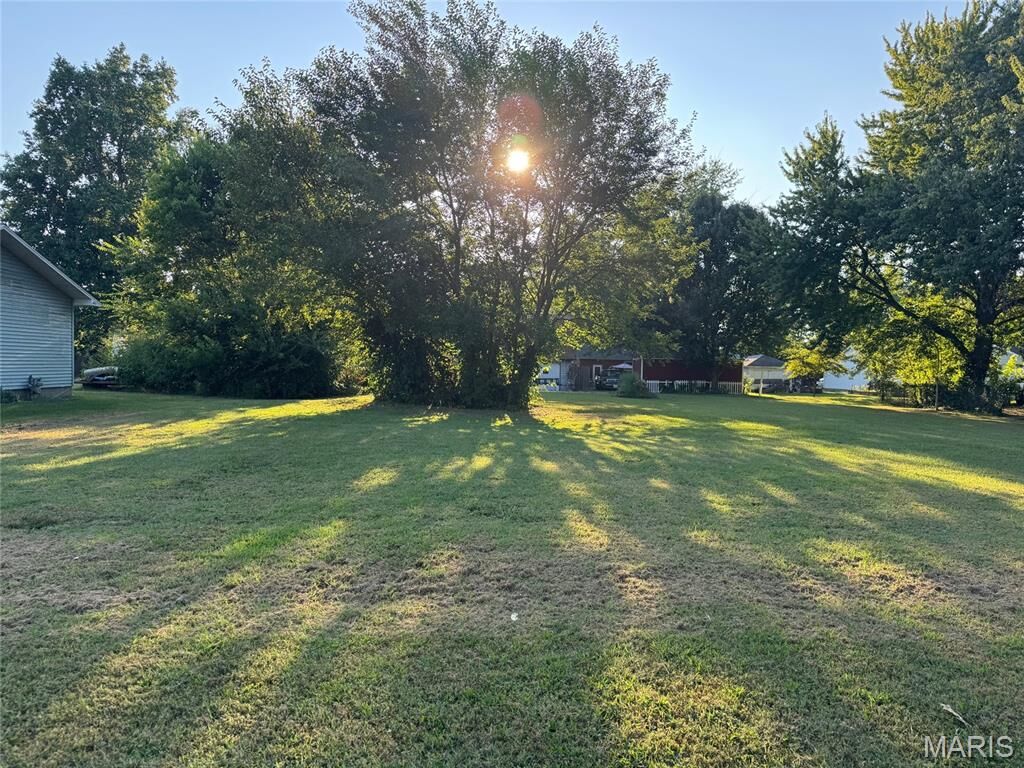 Property Photo:  Tbd N Van Buren Street  IL 62056 