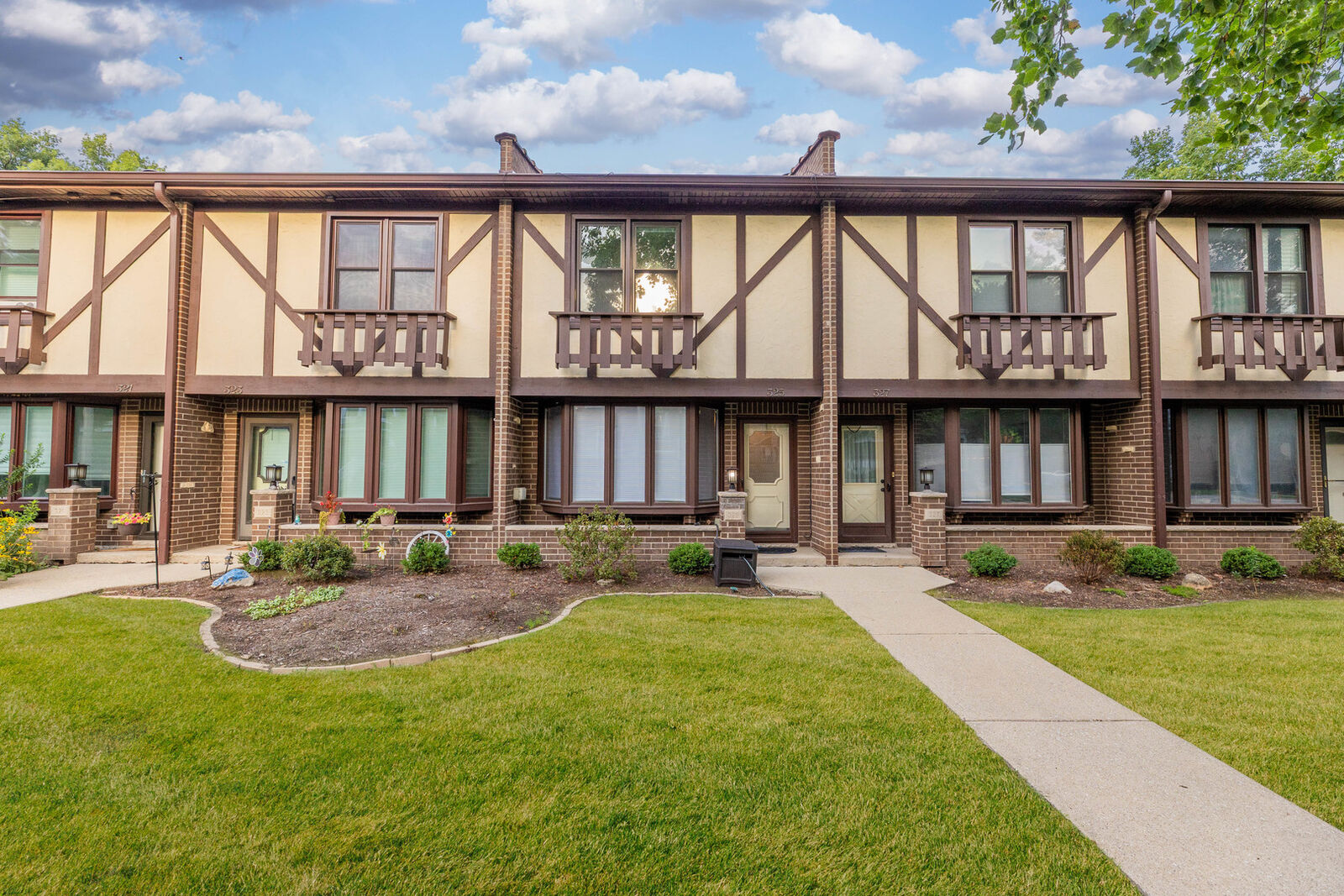 Property Photo:  325 N Marion Street  IL 60302 