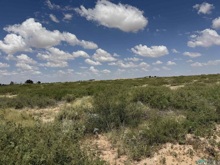 Property Photo:  0000 Pueblo Road  NM 88253 