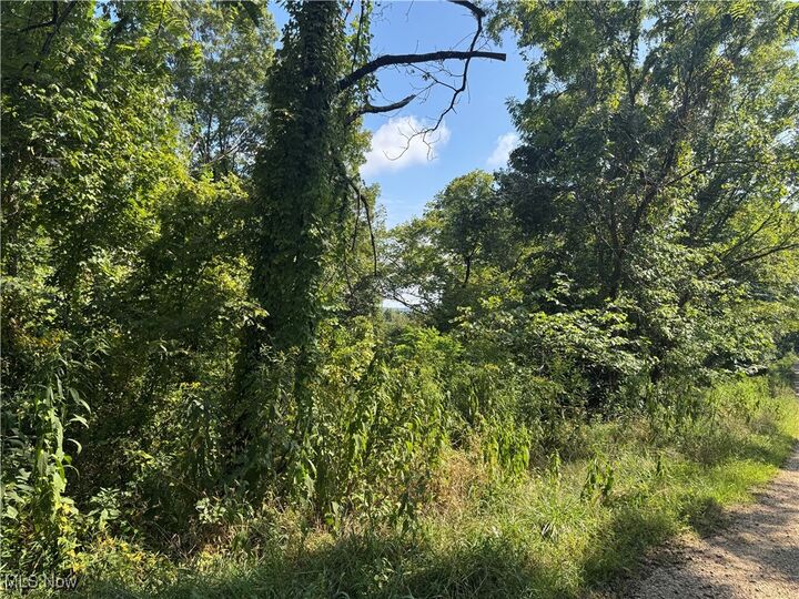 Property Photo:  Putnam Drive  OH 45772 