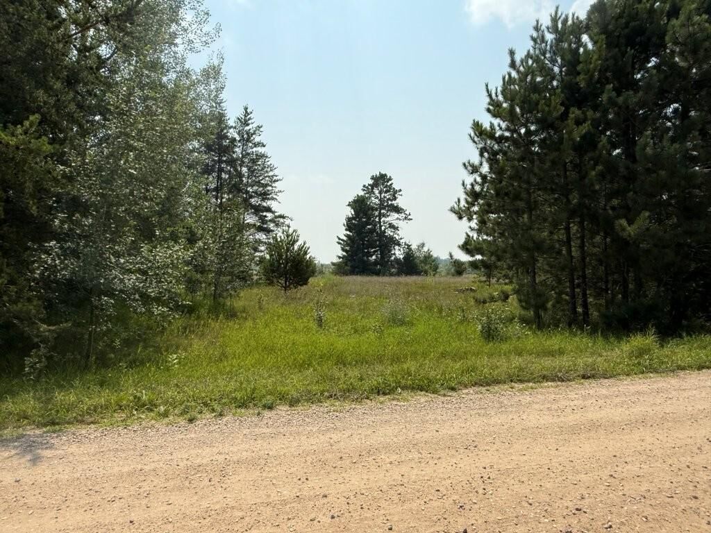 Property Photo:  Tbd Pony Lake Road NW  MN 56601 