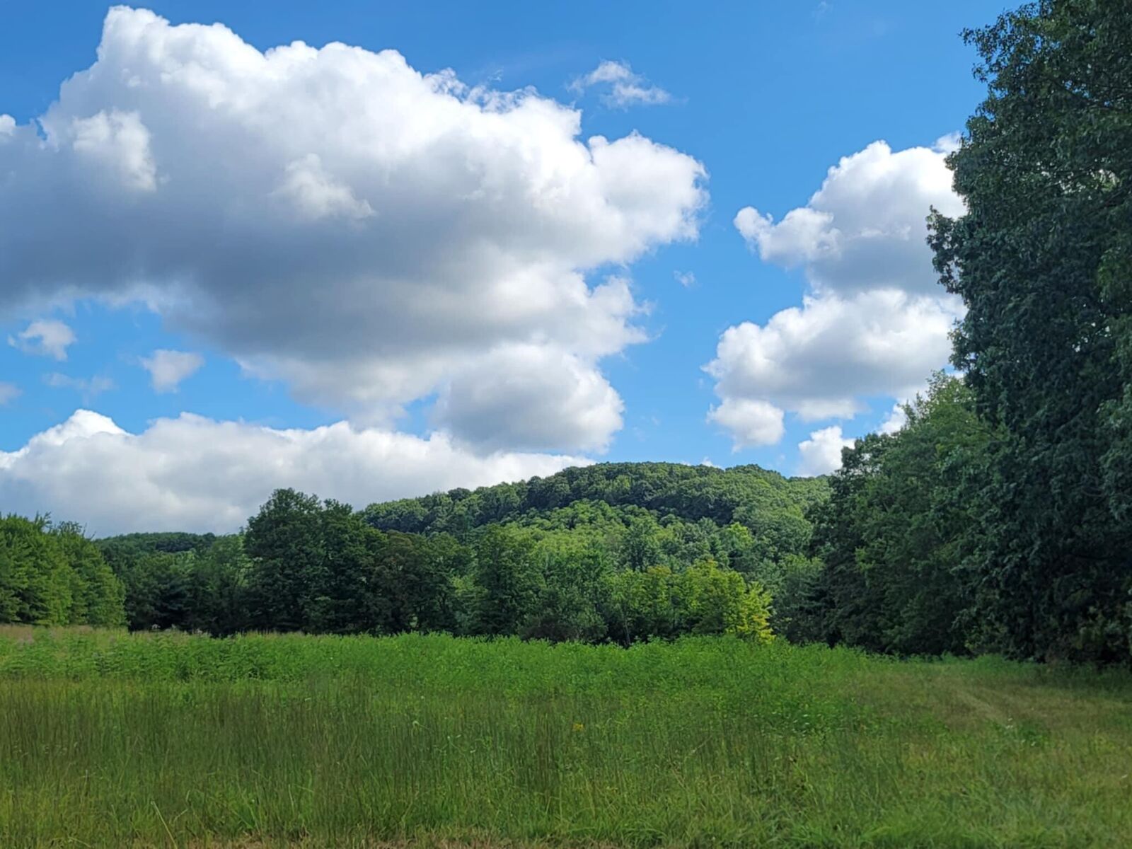 Property Photo: 22 Goodrow Lane PA 16881