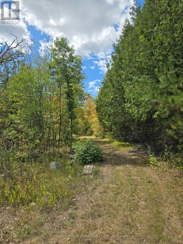 Photo de la propriété:  103080 Highway 7 Highway East  ON K0K 2M0 