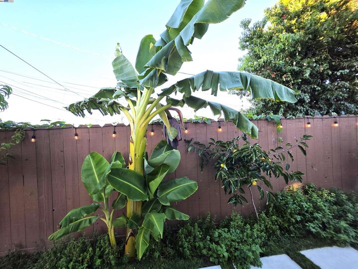 Property Photo:  10468 West Court  CA 94603 