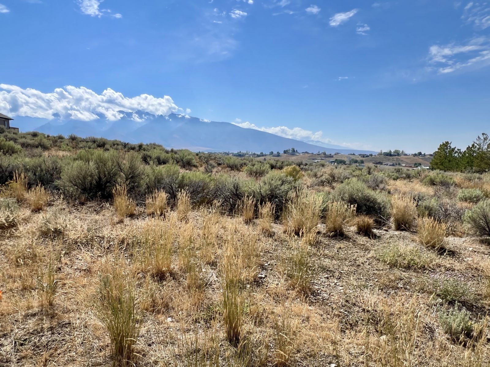 Property Photo:  472 Foxridge Drive  NV 89815 