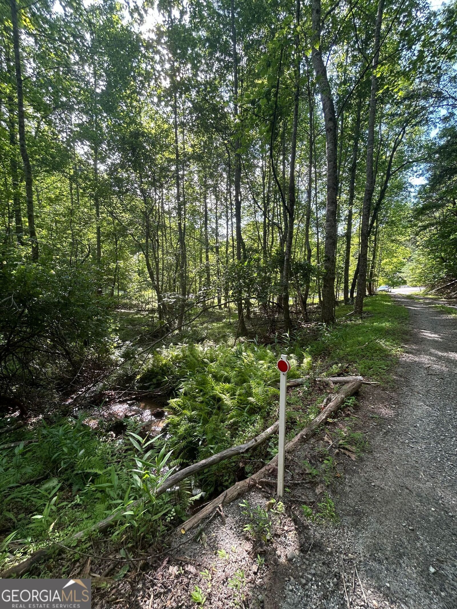 Property Photo: 0 E Two Pond Lane NC 28904