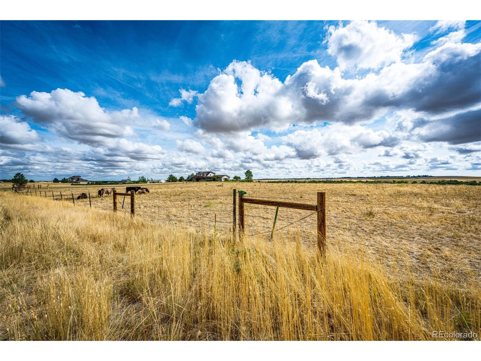 Property Photo: 450 N County Road 133 CO 80102