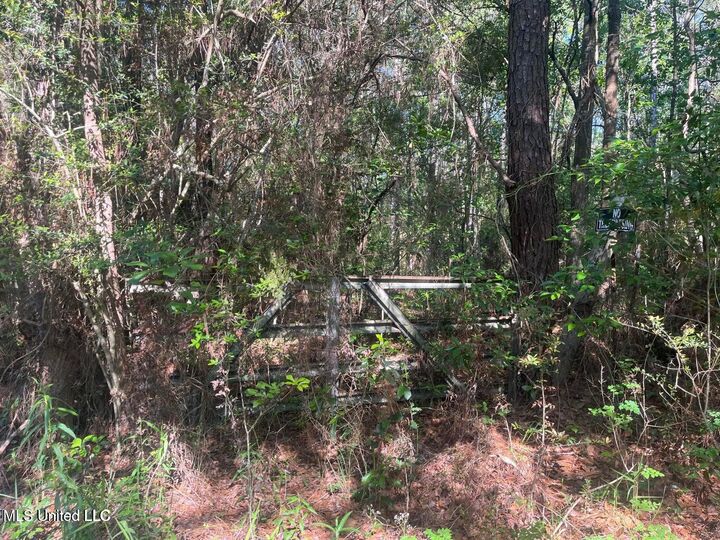 0 Martin Young Road Road  Moss Point MS 39562 photo