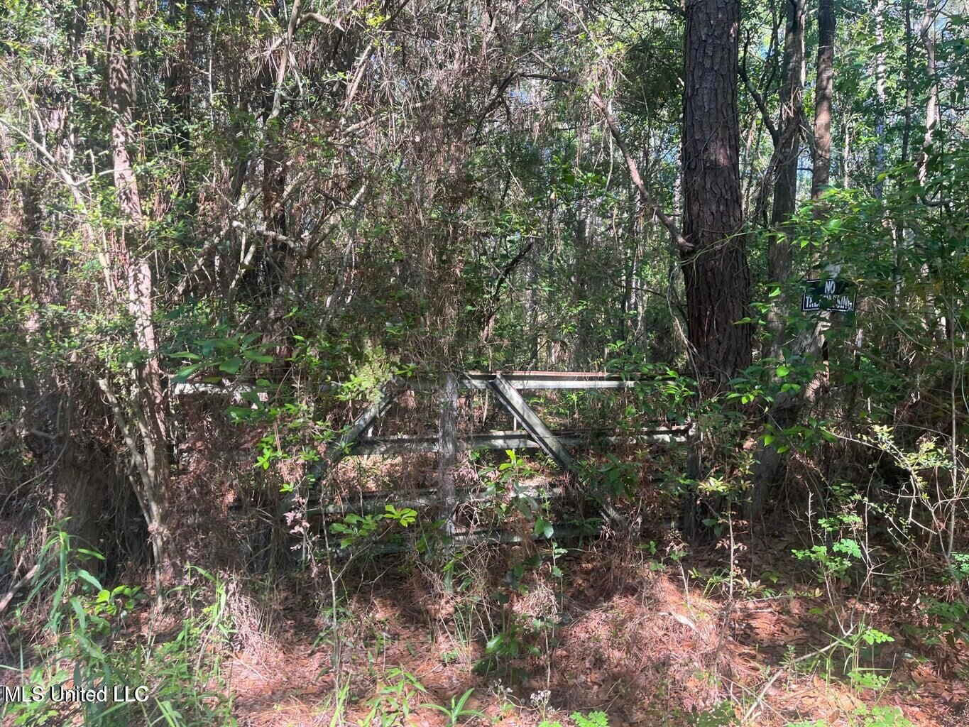 Property Photo:  0 Martin Young Road Road  MS 39562 