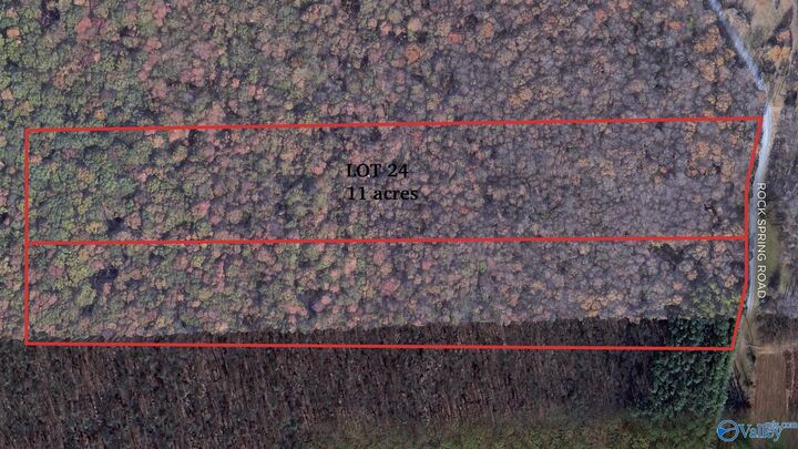 11 Acres Rock Spring Road Lot 24  Owens Cross Roads AL 35763 photo