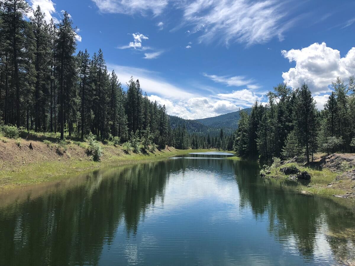 Property Photo: 4004 Northport Flat Creek Rd WA 99157