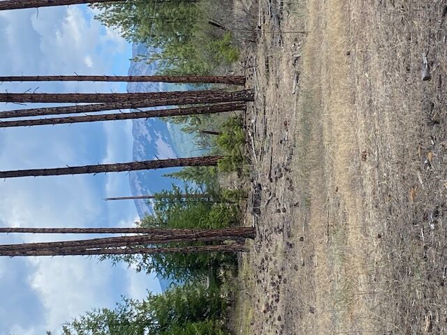 Property Photo:  Nhn High Country Road  MT 59859 