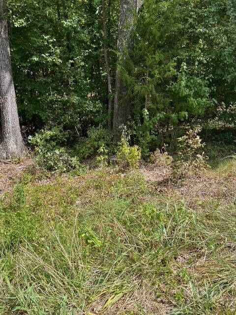 Property Photo: Lot 22 Haverhill Drive AR 72714