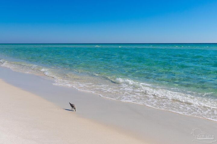 Property Photo: 7979 Gulf Blvd 141 FL 32566