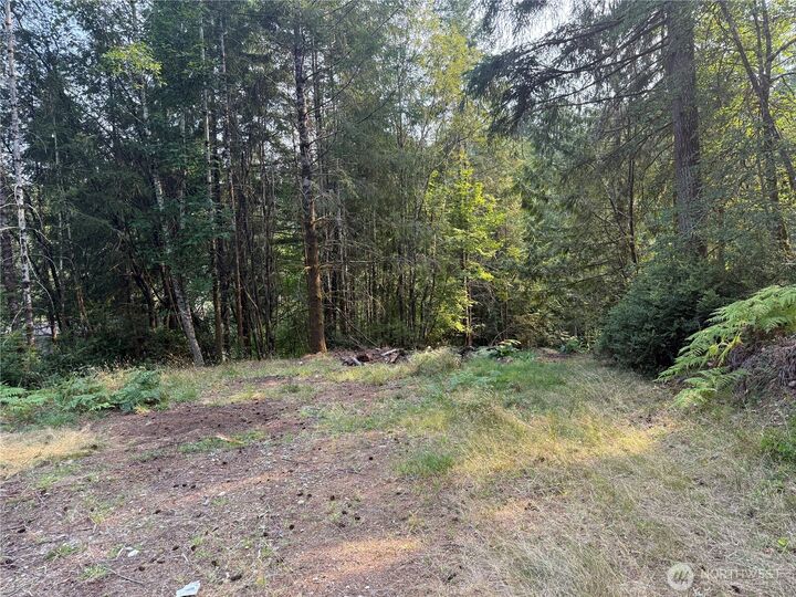 Property Photo:  31 E Tintagel Place  WA 98584 