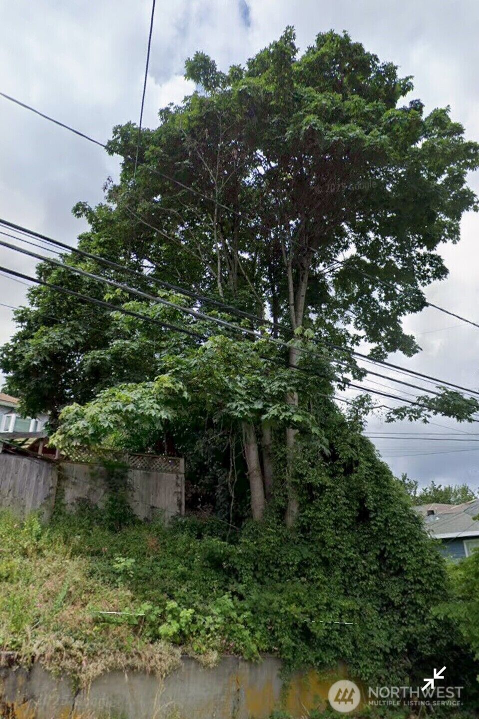 Property Photo: 809 26th Avenue E WA 98112