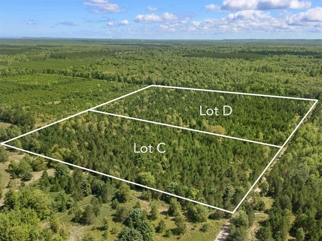 15 Acres Wallin Road  Colfax Twp MI 49683 photo