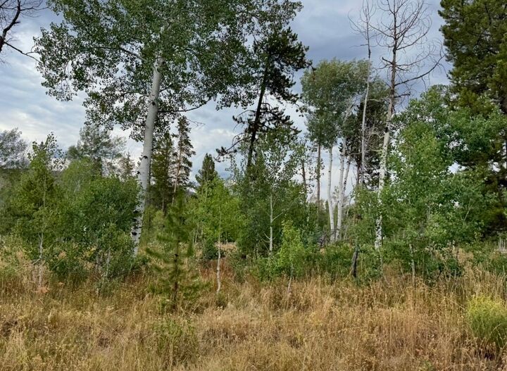 Lot 200 Fargo Way  Oak Creek CO 80467 photo