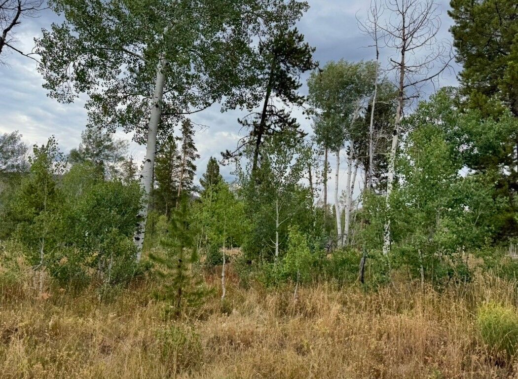 Property Photo:  Lot 200 Fargo Way  CO 80467 