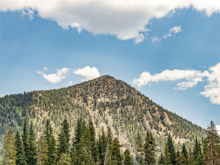 Property Photo: 68 Independence Lane CO 80435