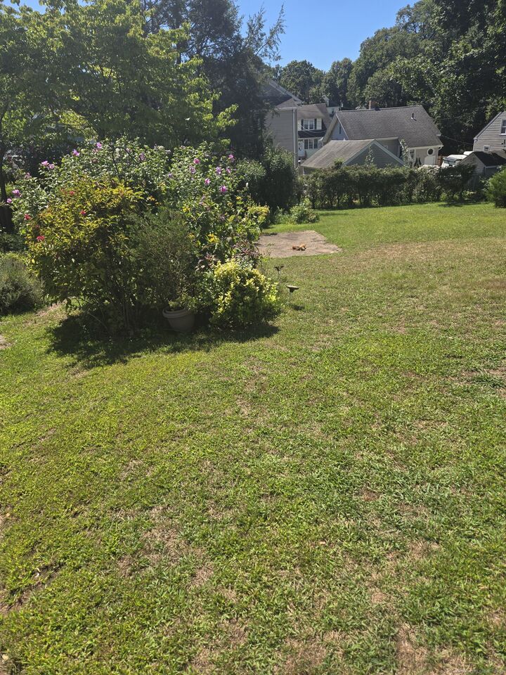 Property Photo:  100 Russell Street  CT 06040 