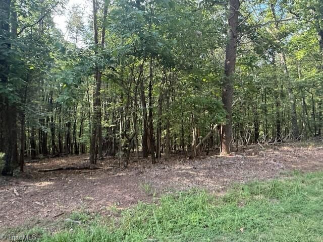 Property Photo:  558 Cedar Mountain Road  NC 27027 