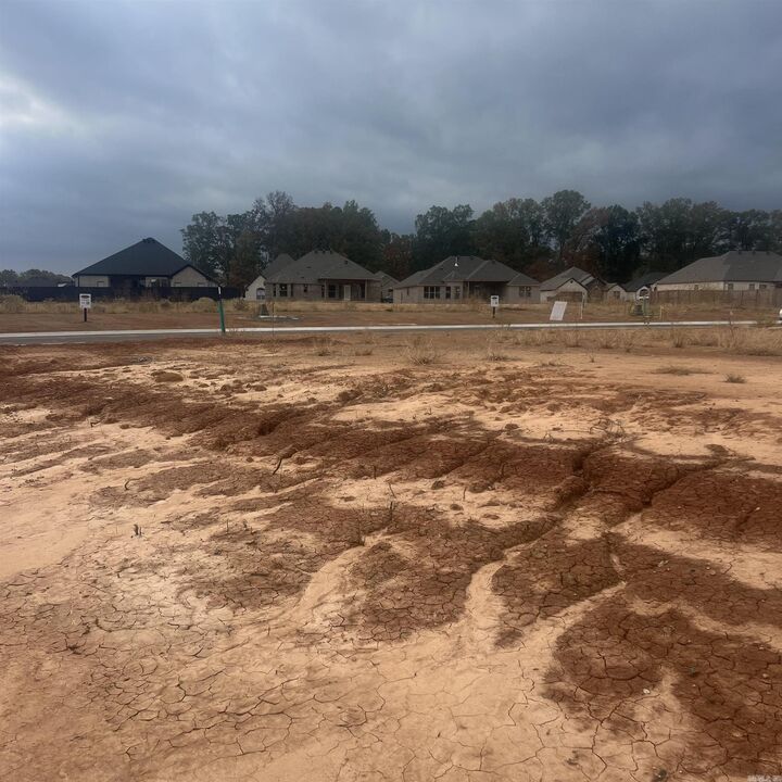Property Photo: 510 Corondelet Ln AR 72113