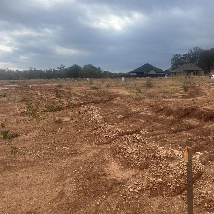 Property Photo: 515 Corondelet Lane AR 72113