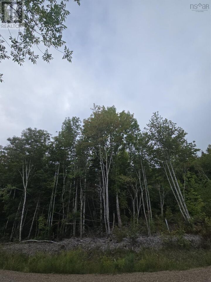 Property Photo:  Lot 6 Lochiel Lake Road (West Side)  NS B2G 2L3 