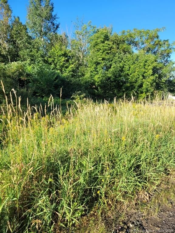 N/A Mark Street  Grafton NB E7N 1N9 photo