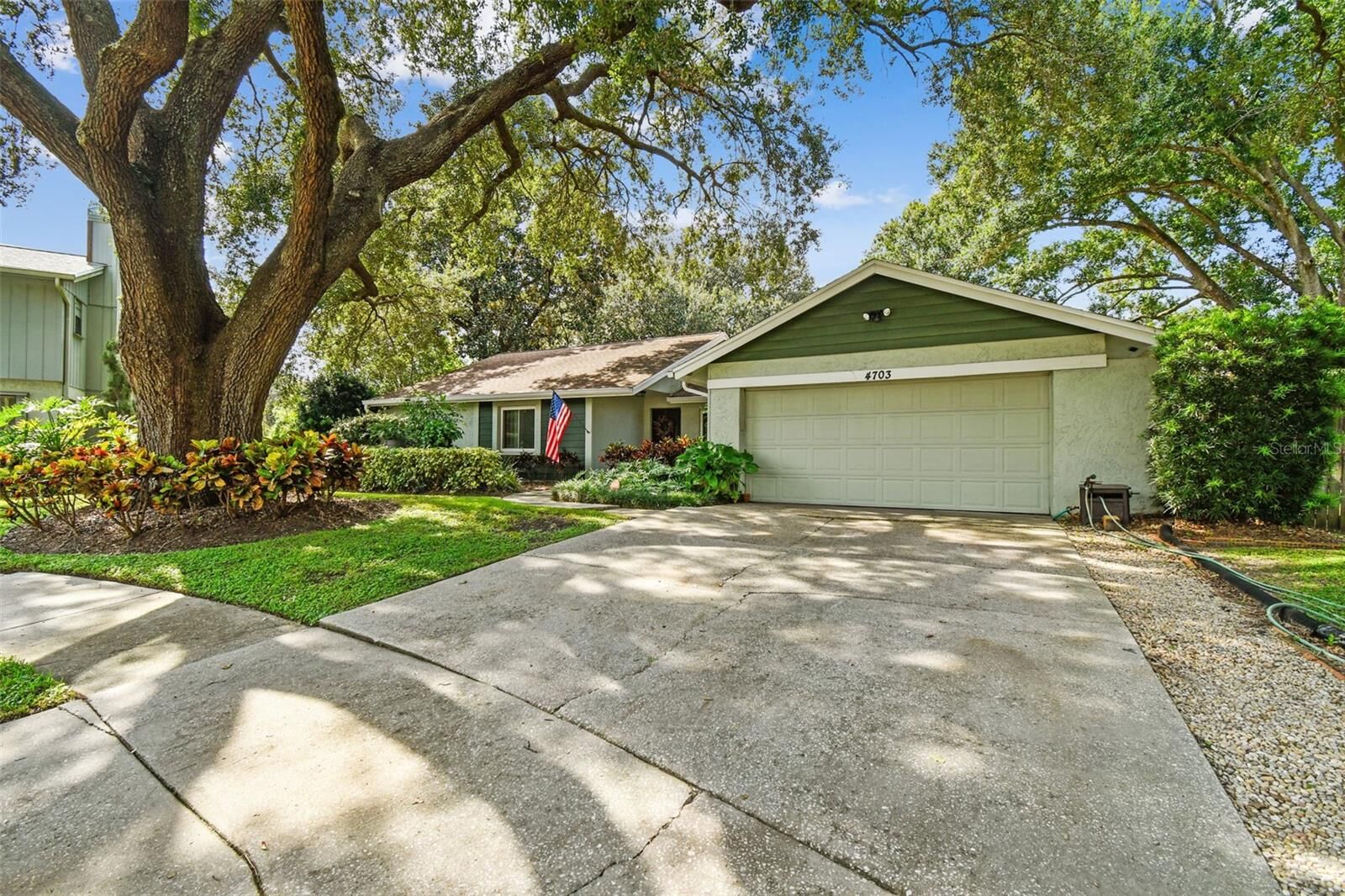 Property Photo:  4703 Freshwind Avenue  FL 33624 