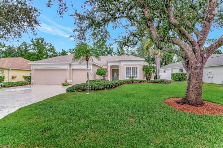 11209 Pine Lilly Place  Lakewood Ranch FL 34202 photo