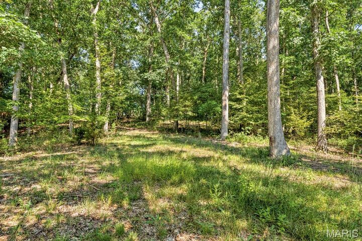 Property Photo:  2467 Alpine Lake Drive  MO 63390 