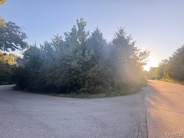 0000 Jefferson Davis Drive  Unincorporated MO 63050 photo