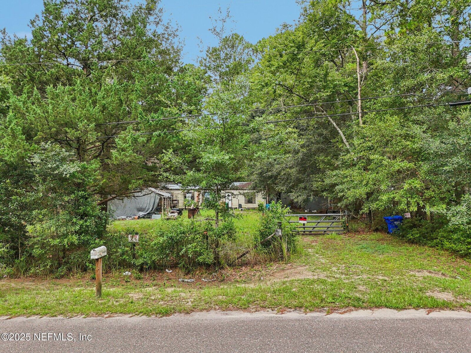 Property Photo: 86333 Timber Ridge Street FL 32097