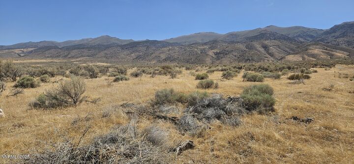 Property Photo:  20590 Old Victory Highway  NV 89419 