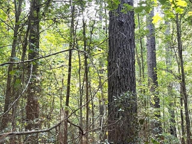 000 Highway 615 Highway  Haynesville LA 71038 photo