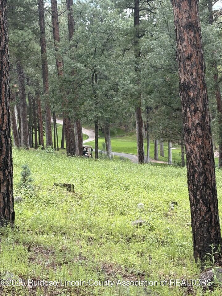 Property Photo:  Lot 2 Incredible Ln  NM 88312 