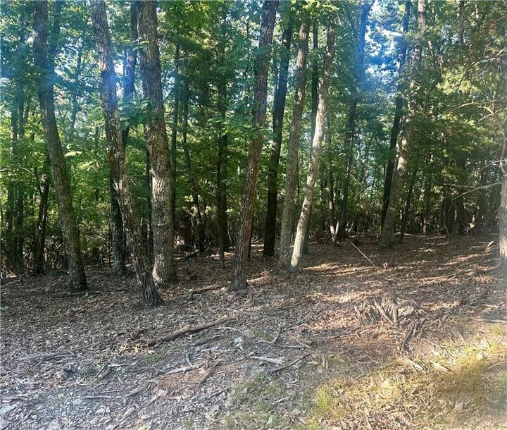 Property Photo: Lot 63 Grandview Circle NC 28685