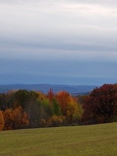 Property Photo:  900 Town Line Rd  NY 13790 