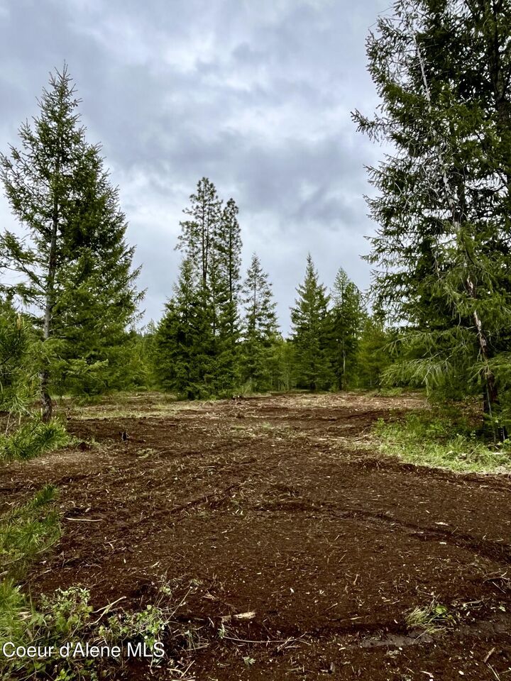 Property Photo: 12 Acres Elizabeth Ln ID 83801
