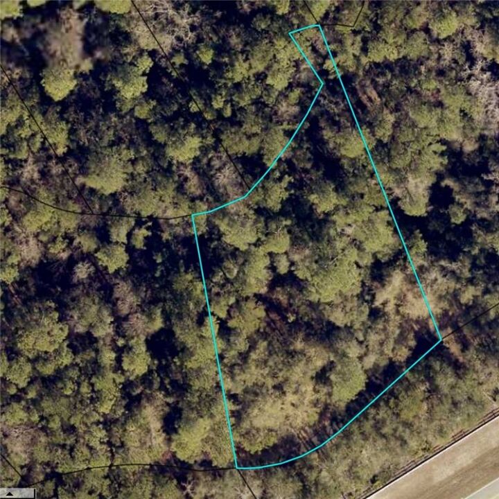 Property Photo:  0 Canoe Run  GA 31569 