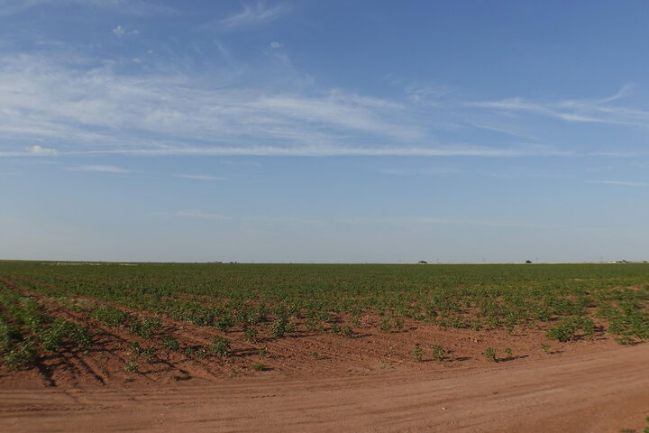 Property Photo:  0 Fm 597  TX 79311 