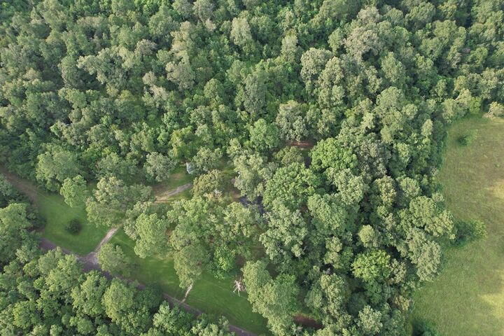 Property Photo:  1659 (Lot 3) Lowery Sawmill Road  TX 75949 