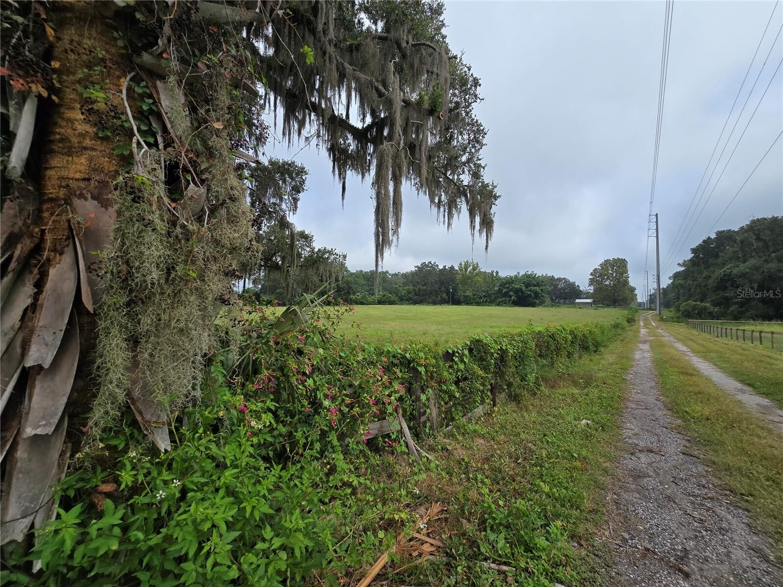Property Photo: 4901 NW 152nd Lane FL 32686