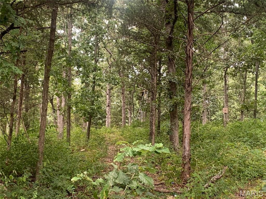 Property Photo: 000 Cedar Grove Lane MO 65401