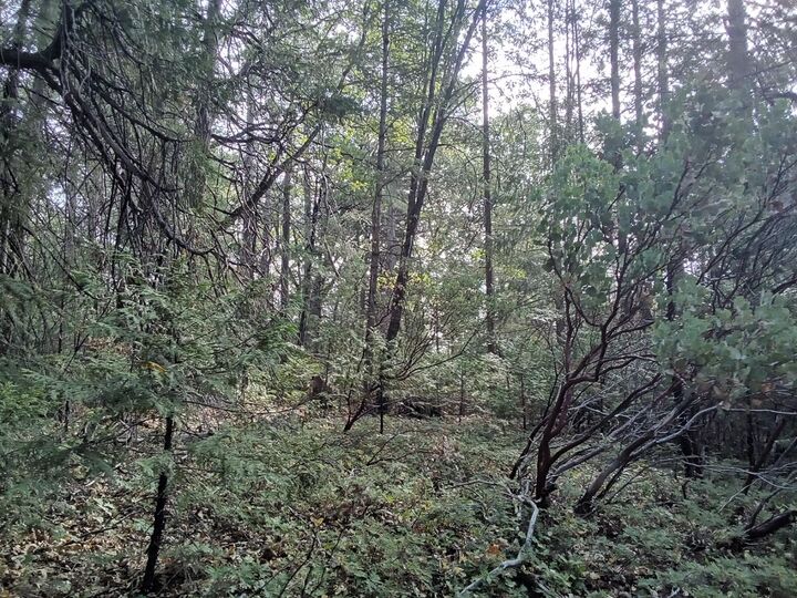 Property Photo:  0 3 Just Road  CA 95713 