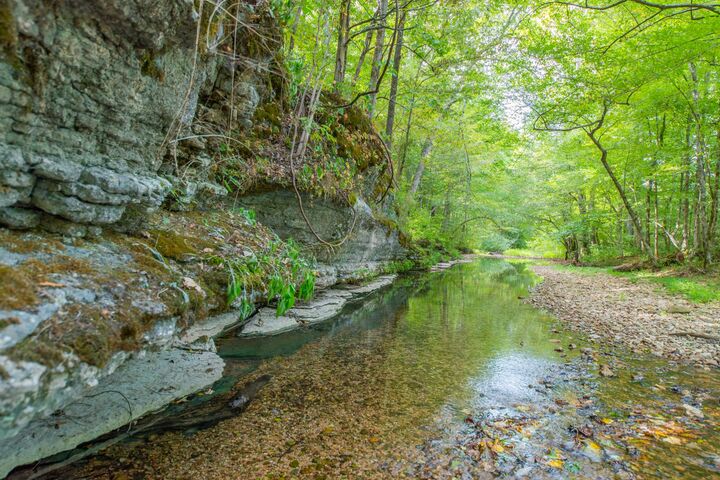 Property Photo: 1526 Old Beech Creek Rd TN 38485