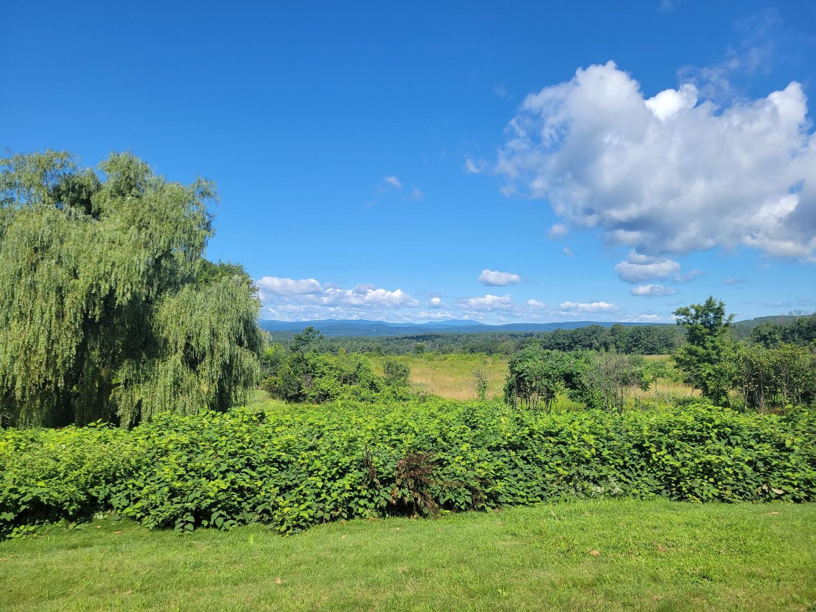 Property Photo:  477 Route 63  NH 03443 