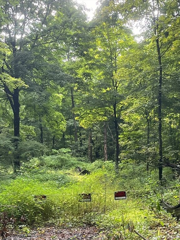 Property Photo: Lot 17.04 & 17.05 Sabin Street MA 01007